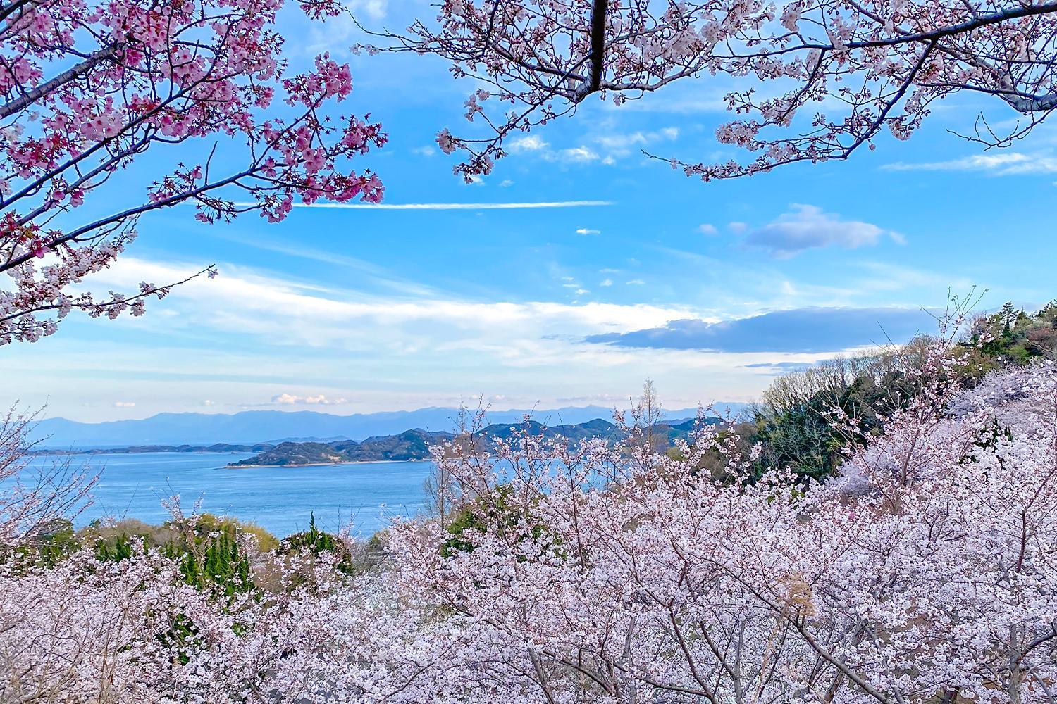 Lemon Farm Glamping Simanami Villa Onomichi Exteriör bild